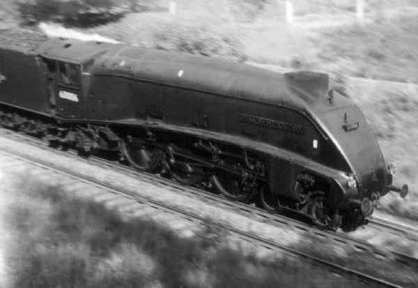 60006